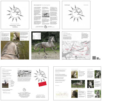 peter_helmke_designer_caballos2