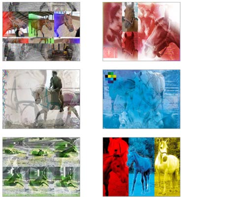 peter_helmke_designer_caballos4